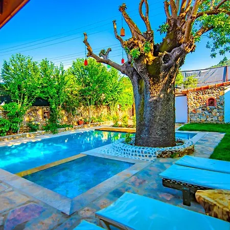 Apartment Dream, Fethiye Kayakoy De Konforlu Tas *