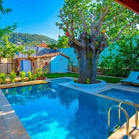 Dream, Fethiye Kayakoy De Konforlu Tas Apartment Belen (Fethiye)