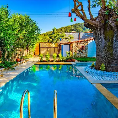 Dream, Fethiye Kayakoy De Konforlu Tas